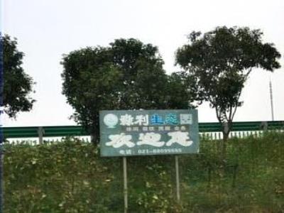 迪士尼足球公园