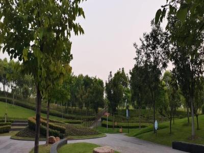 白沙公园
