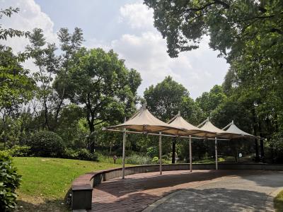 陈行公园