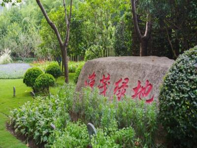 淮茂绿地