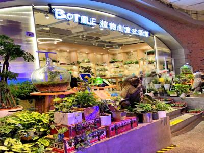 BOTTLE植物创意生活馆(大悦城店)