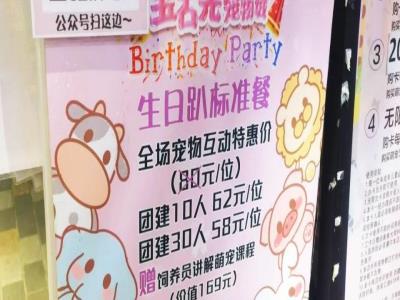 宝石光宠物城 宠物乐园轰趴馆(大悦城店)