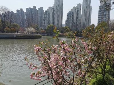 南苏河