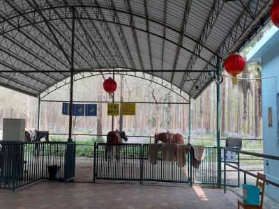 上海森林骑士俱乐部(杨浦店)