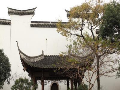 知也禅寺