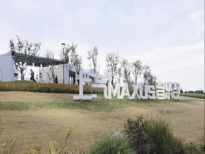 上海国际旅游度假区maxus大通广场