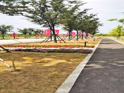 悦动公园