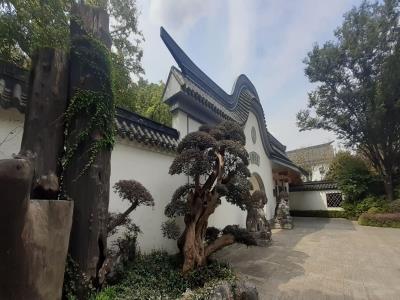 上海盆景博物馆