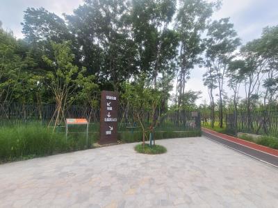 绥德公园