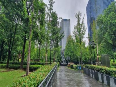 国歌纪念广场