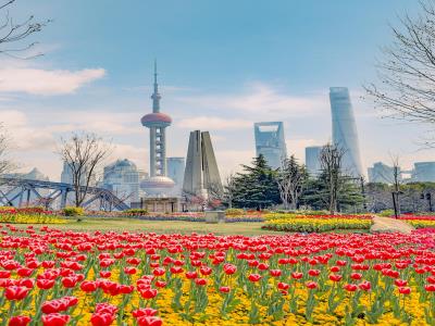 情人花景