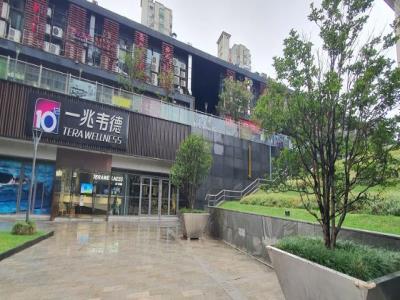 东方蓝海国际广场-下沉式广场