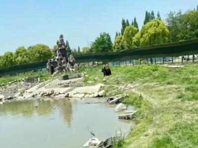 太阳广场