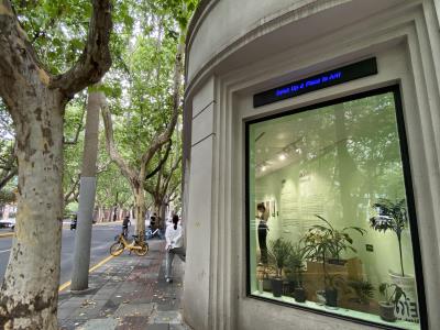 Fiu Gallery