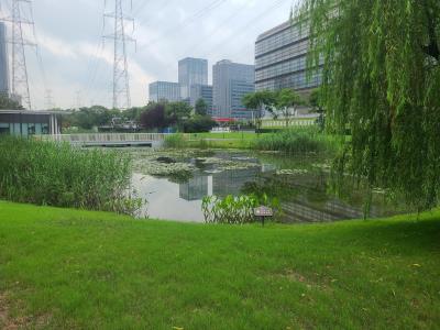 宜山路小花园