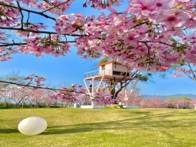 樱花岛