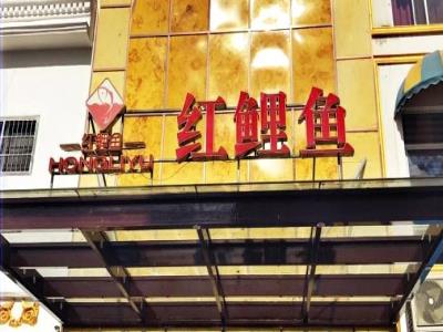 红鲤鱼大浴场