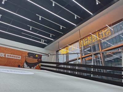 SHEERCOOL雪酷城市滑雪空间(凯德晶萃店)