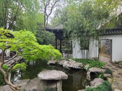 静安涌泉