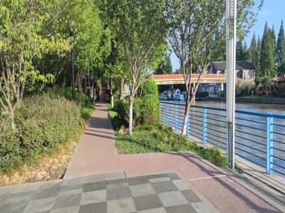 高东樱花园