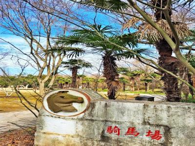 浦东骑马场