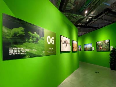 「完整版」国家地理经典影像大展-上海站