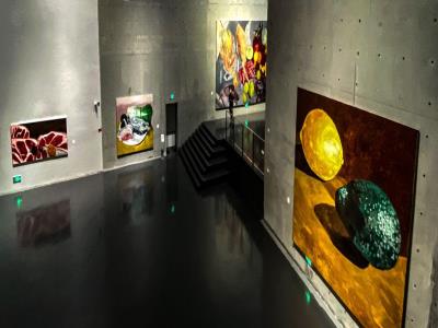 龙美术馆「叶茂中画展」