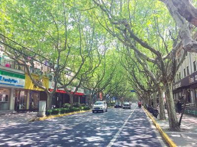 新华路