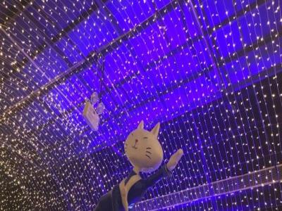 上海外滩星空错觉艺术馆・展览厅