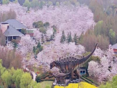 顾村公园自然谷恐龙乐园