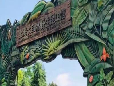 上海大自然野生昆虫馆