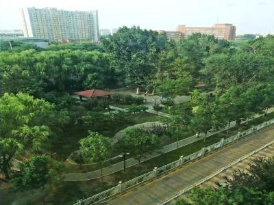 珠江绿洲文化广场