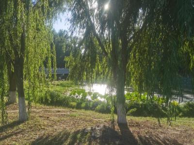 郊野生态区公园