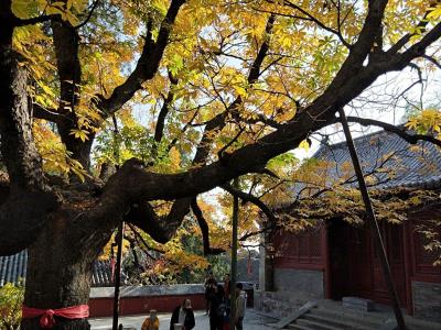 香界寺