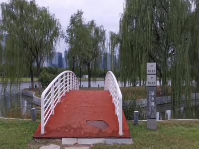 清水湖