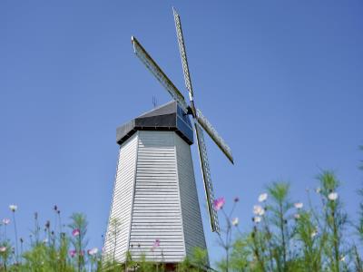 楼台村