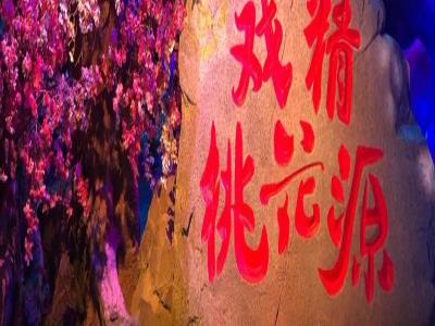 戏精桃花源(双井富力广场店)