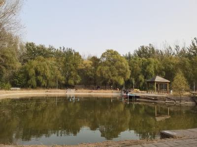 月亮湾开心农场・租地种菜(后薛各庄店)