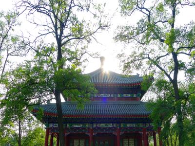 走进圆明园之逛园子剧景游