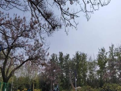 北京青龙湖森林公园