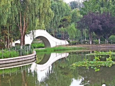 大兴新城滨河森林公园
