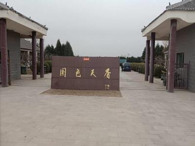 国色天香牡丹园
