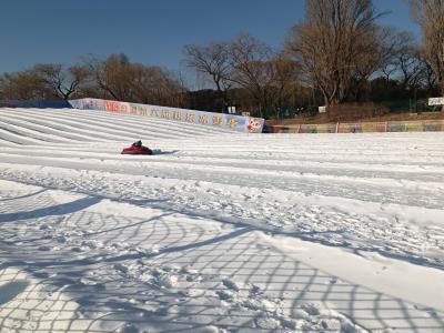 紫竹院公园第六届欢乐冰雪季