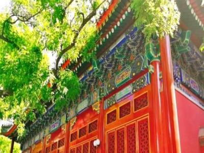 中央音乐学院查阜西纪念馆