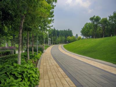 未来科技城滨水公园
