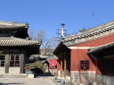 Temple东景缘