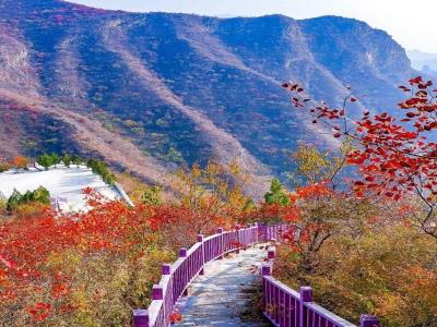 中山村