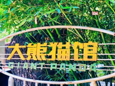 奥运熊猫馆