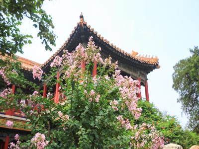 钦安殿