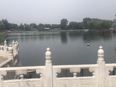 蝠池